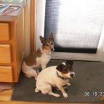 Sassy and Mylo