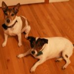 Sassy and Mylo