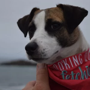 beach trip